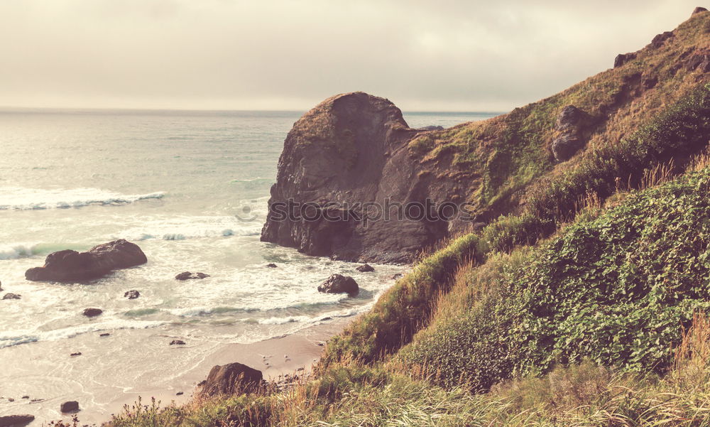 Similar – Image, Stock Photo Lonely sandy beach in Azores