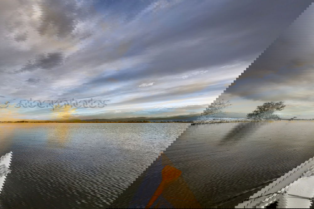 Similar – Image, Stock Photo In the limelight of nature.