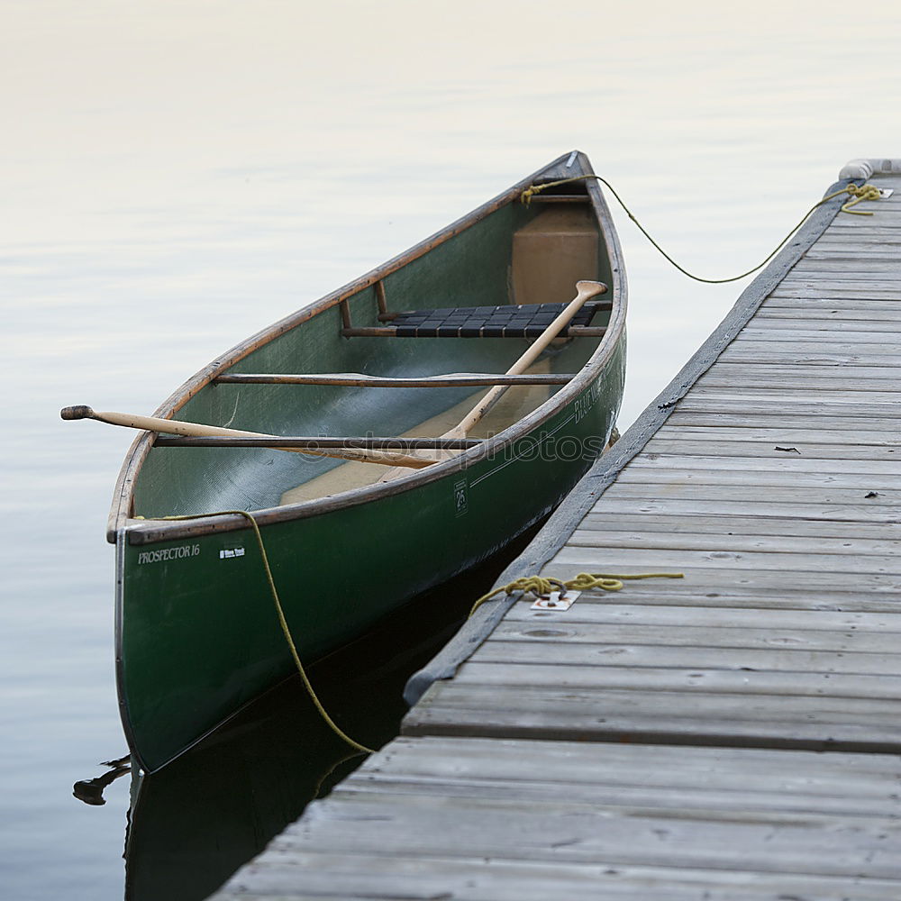 Similar – am See Steg Holz Möwe