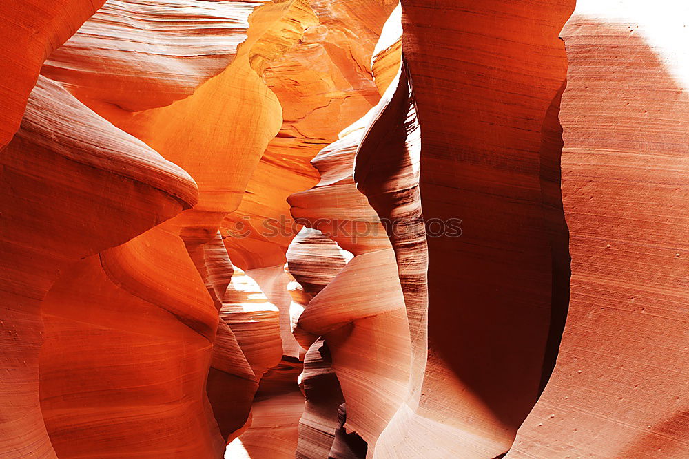 Similar – Image, Stock Photo Antelope Canyon Nature