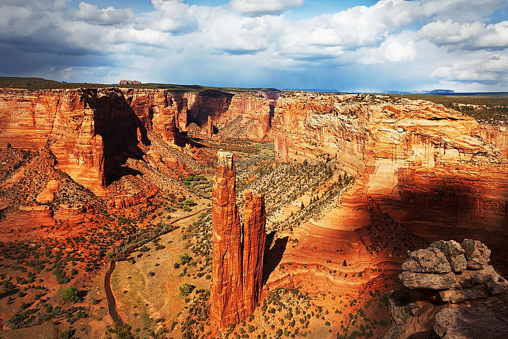 Similar – Foto Bild Cedar Breaks Umwelt Natur