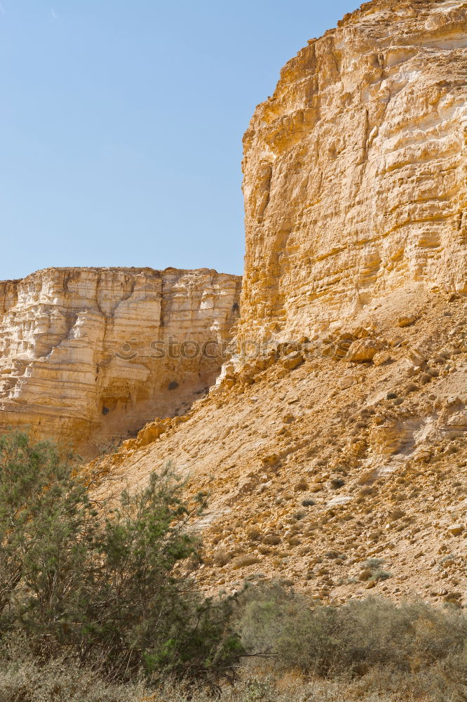 Similar – Foto Bild La ribera [XXIV] Natur