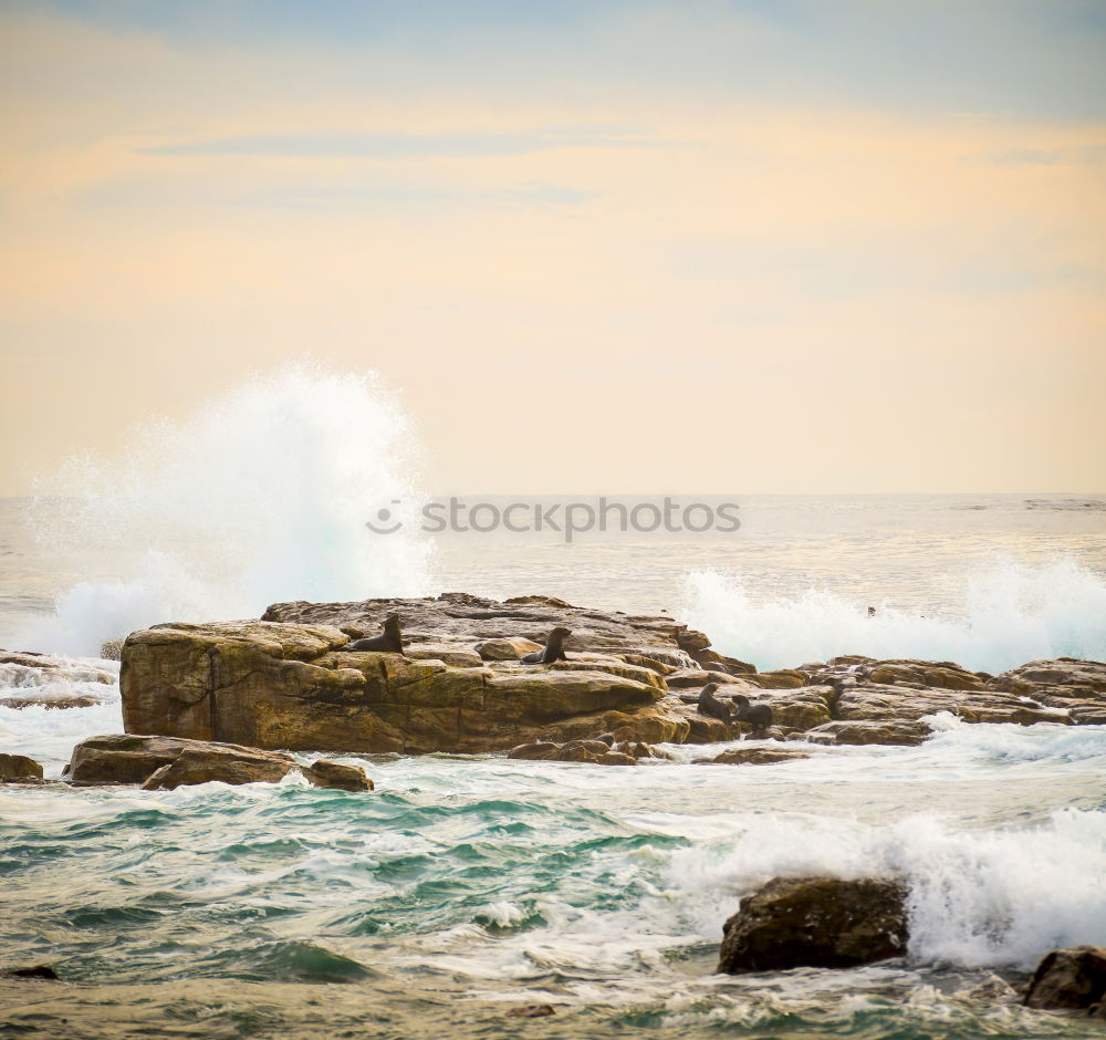 Similar – summer.sun.sea Environment