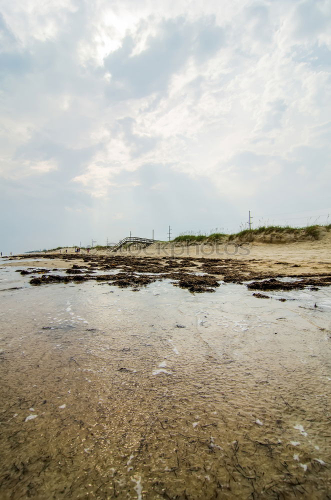 Similar – drained Beach Nature Sand