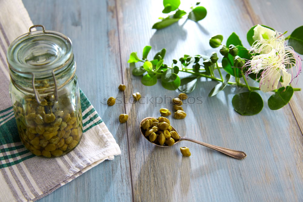 Similar – Pickling cucumbers with home garden vegetables and herbs