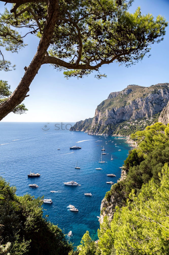 Similar – capri Life Harmonious