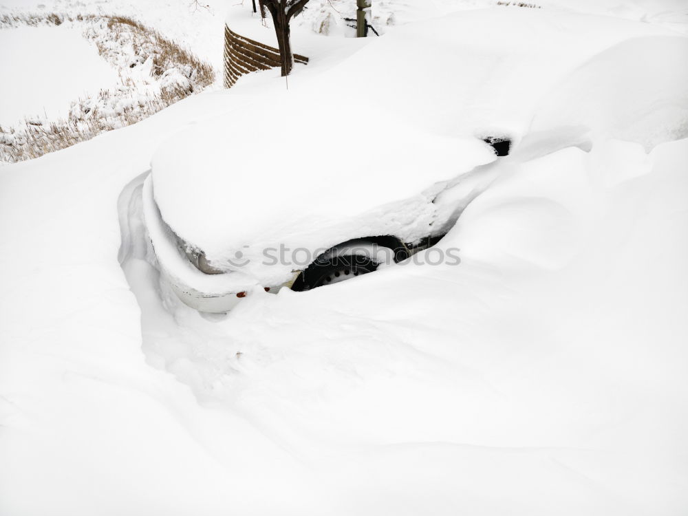 Similar – Image, Stock Photo 2 cut off windshield wipers sticking out of a car covered with snow