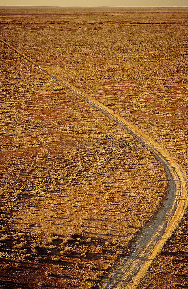 Similar – Tracks on the beach in Portugal III