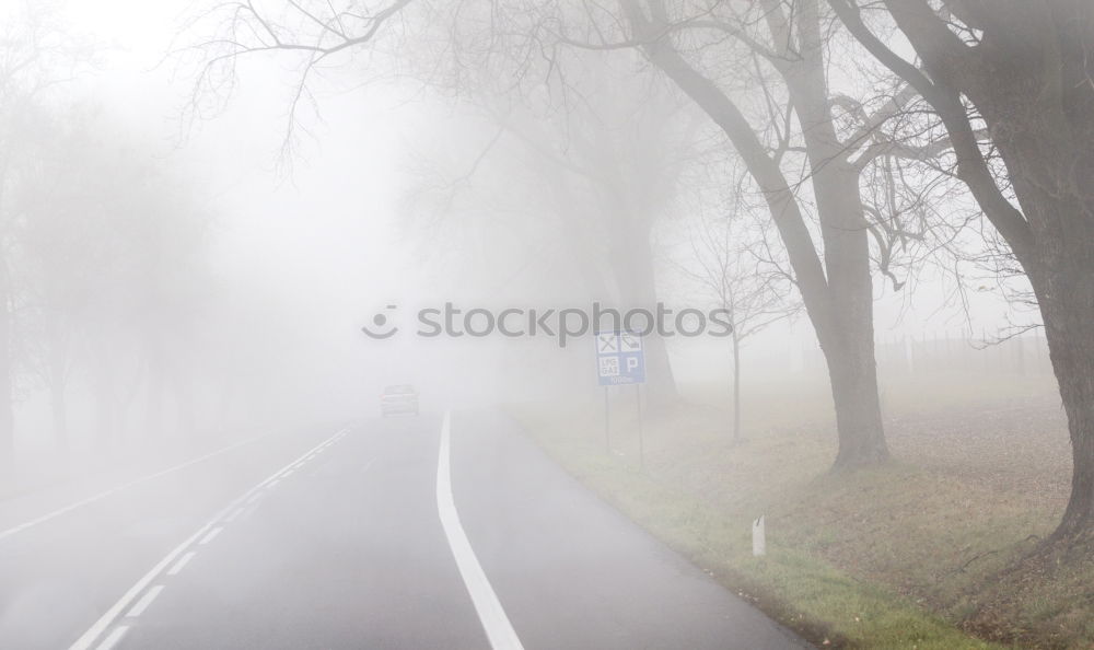 Similar – Image, Stock Photo mist pattern Environment