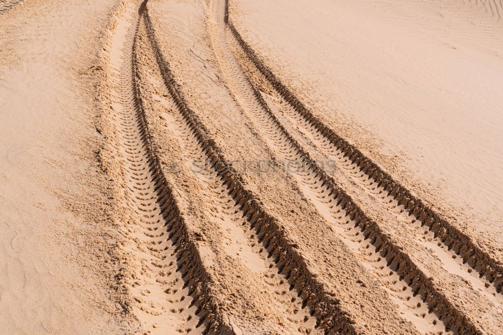 Similar – Tracks and deposit on the beach in Portugal IV