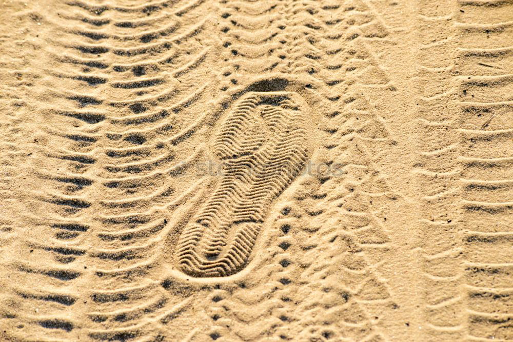 Similar – Straw hat on sand Sand Hat