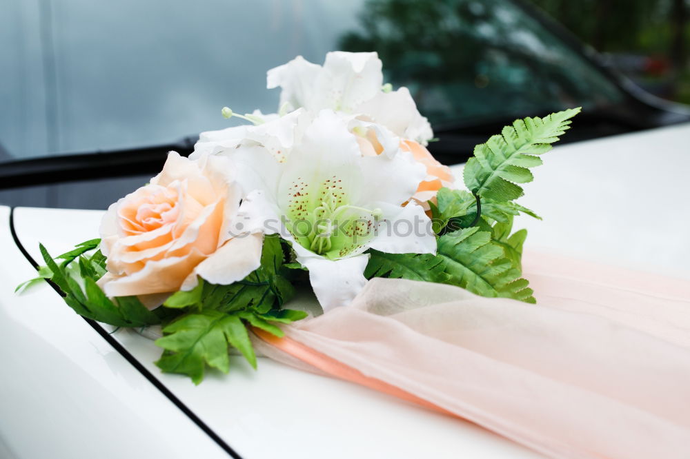 Similar – Wedding Cadillac