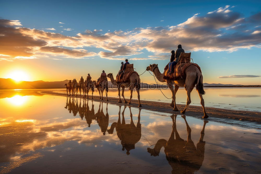 Similar – Silhouetten von drei Reitern bei Sonnenschein am Strand