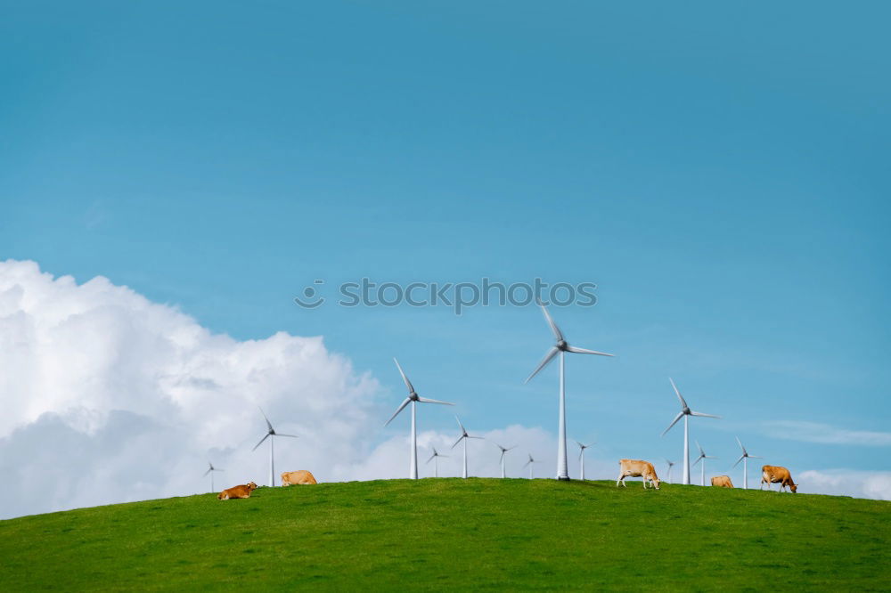 Similar – Image, Stock Photo Wind Power Deluxe