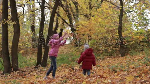 Image, Stock Photo Autumn in Lüneburger Heide