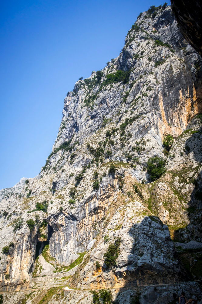 Similar – A detail of a cliff with a waterfall framed by the leaves of some trees