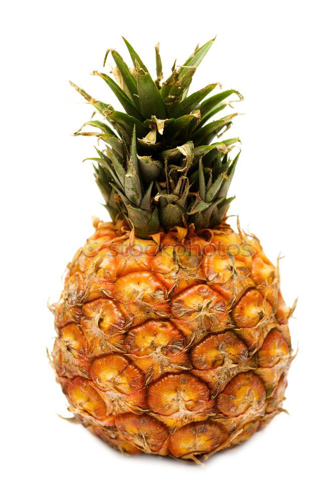 Similar – Pineapple in an armchair