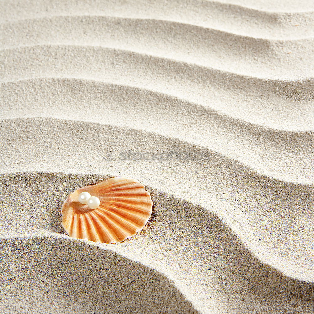 Similar – Amber at the Baltic Sea beach