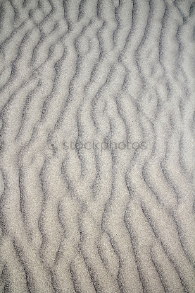 Similar – Image, Stock Photo 119 [dune]