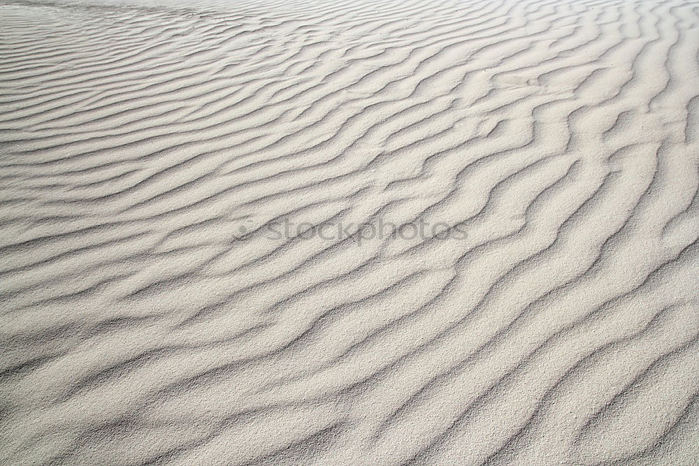 Similar – Image, Stock Photo Spiekeroog. Stiff breeze.