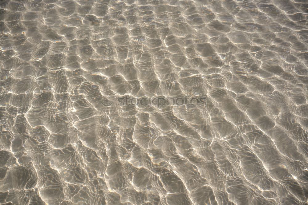 Similar – Sand | Water Lifestyle