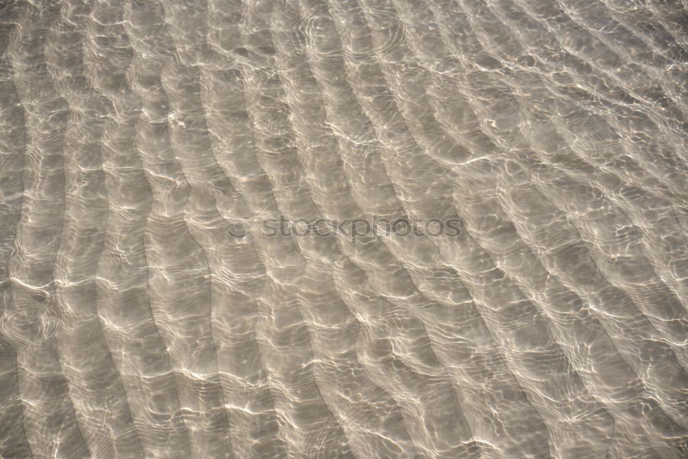 Similar – Sand | Water Lifestyle