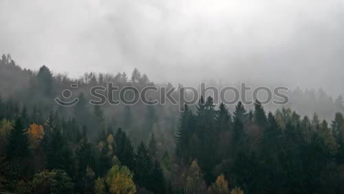 Similar – Image, Stock Photo fog Nature Landscape