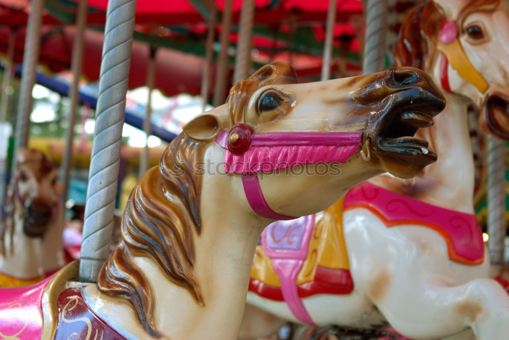 Similar – Image, Stock Photo Illuminated horse carousel