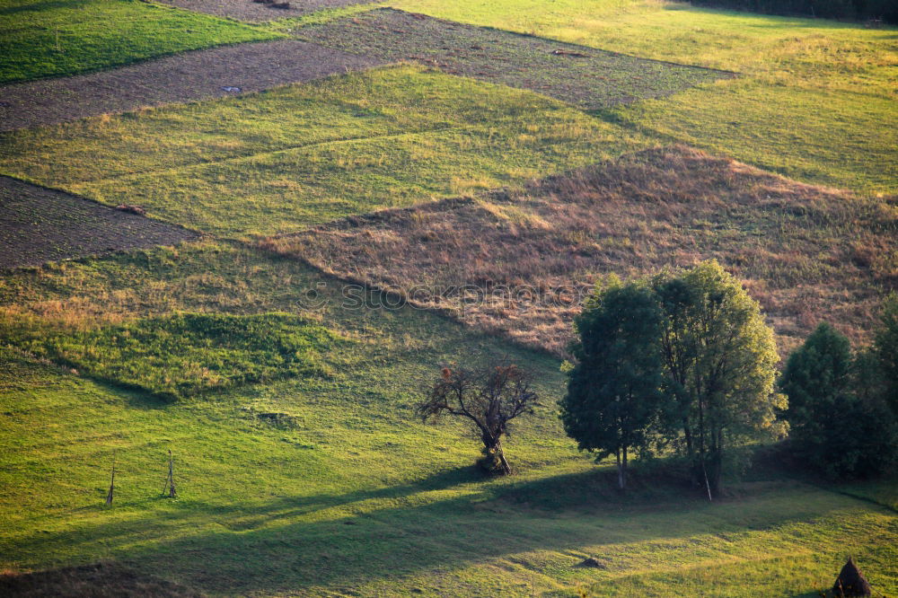 Similar – Image, Stock Photo seen from above … Field