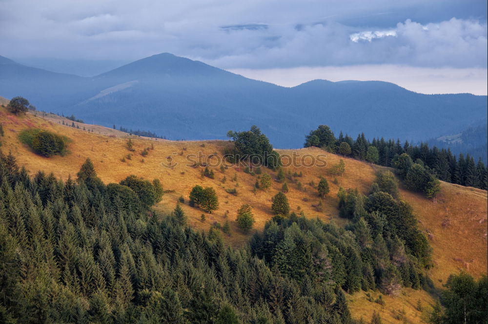 Similar – Western Colorado