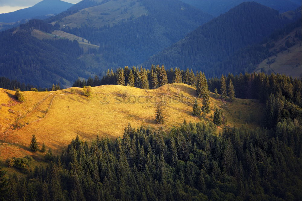 Similar – Altay Nature Landscape