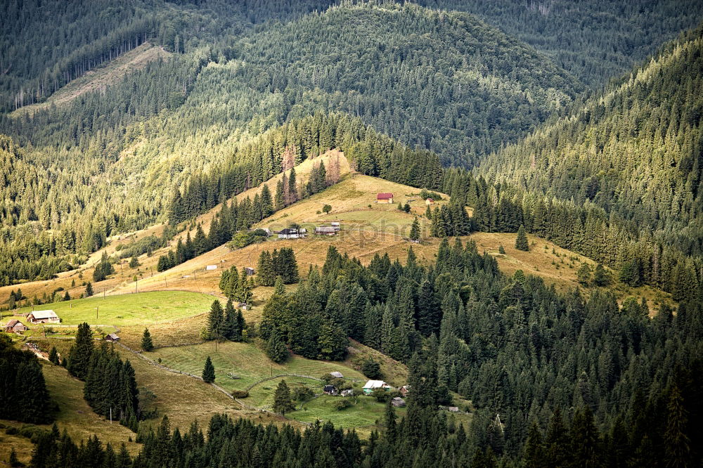 Similar – Image, Stock Photo Sunny October day in Malopolska mountain village