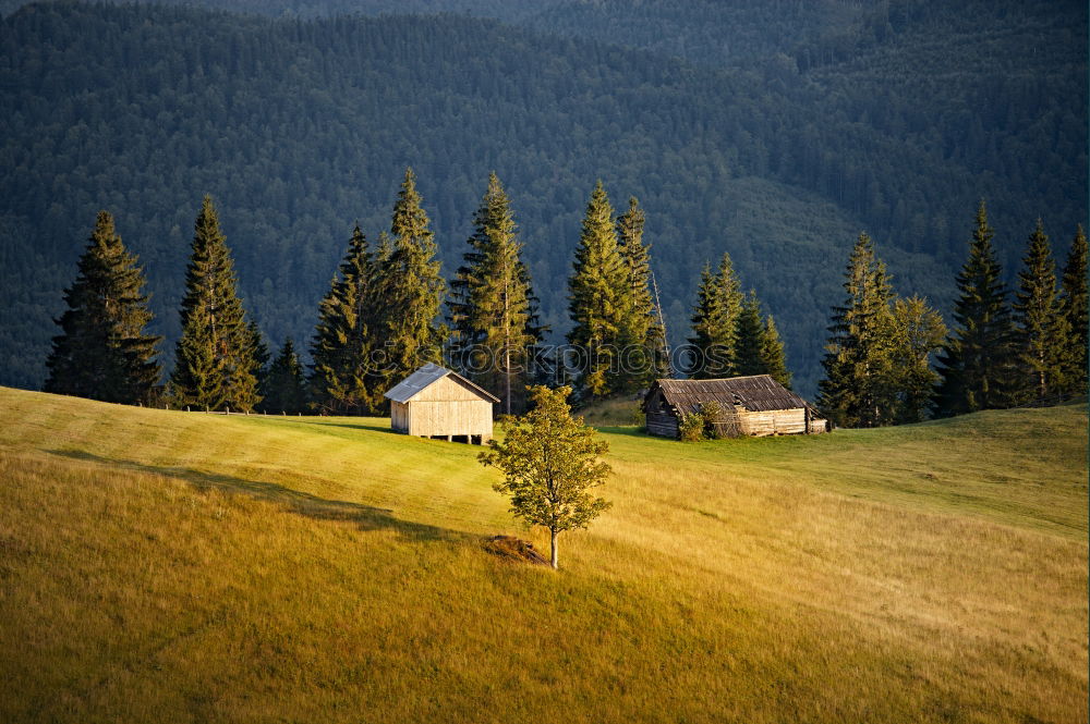 Similar – Curved serpentine road trough fall forest and village.