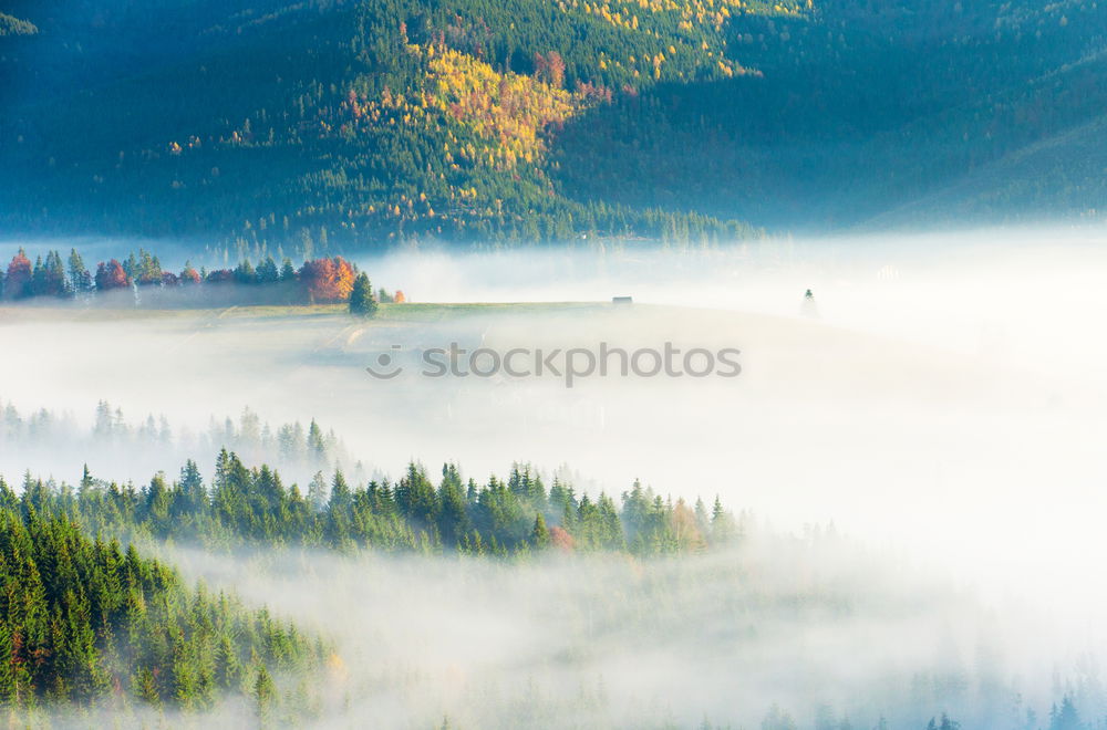 Similar – Image, Stock Photo Striped fog Nature