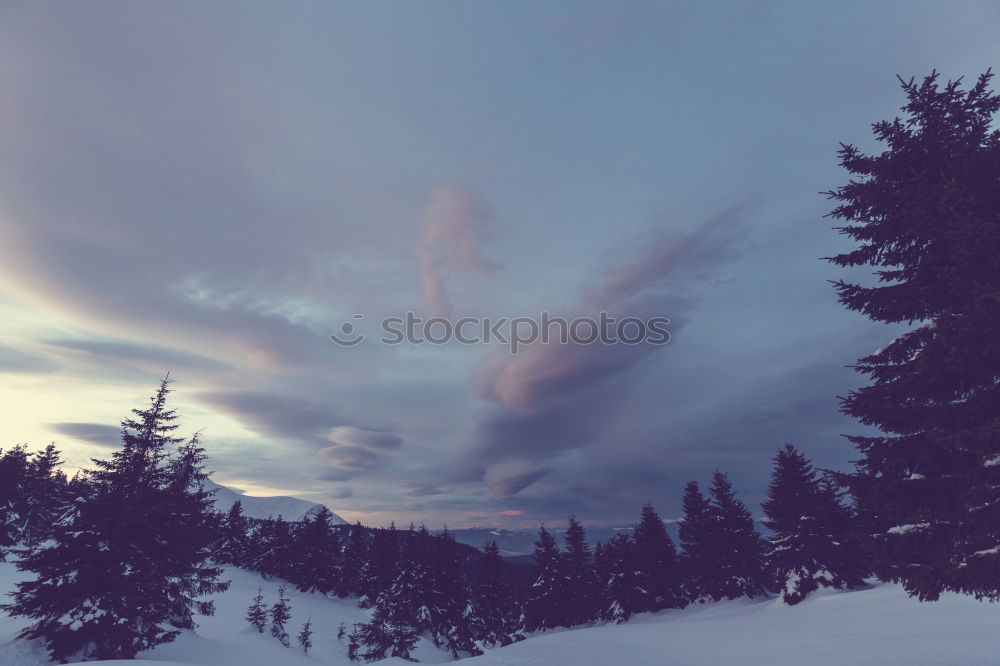 Similar – Foto Bild waldrand Winter Schnee