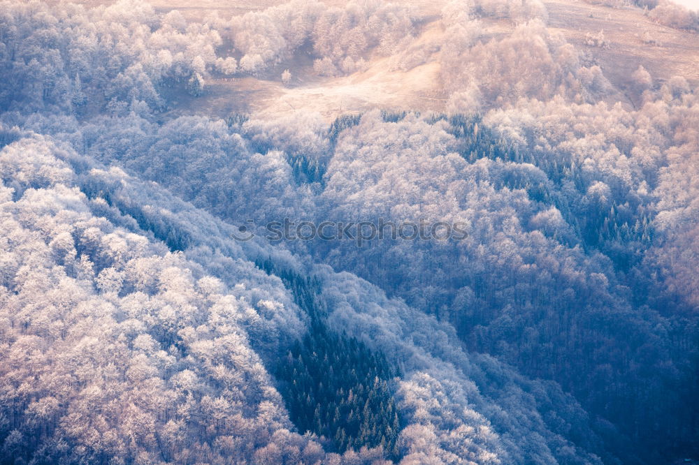 Similar – Image, Stock Photo Beautiful ladnscape of pine forest mountain in winter.