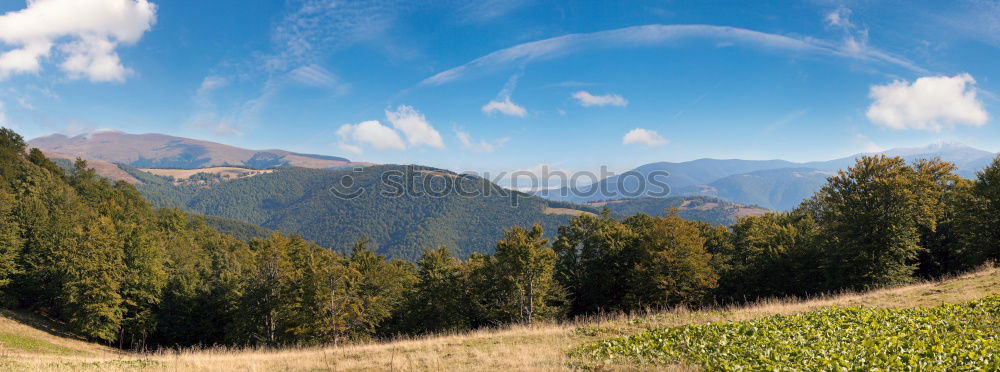 Similar – Image, Stock Photo Vineyards in Trento in autumn