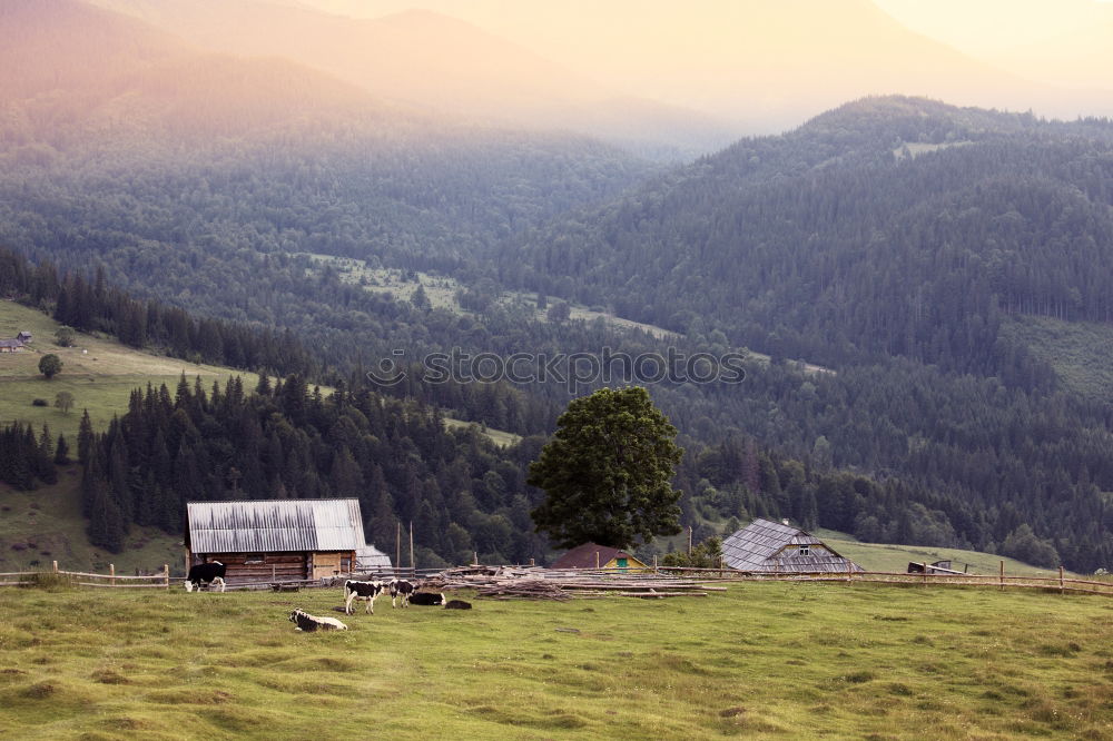 Similar – Image, Stock Photo Small house in forest