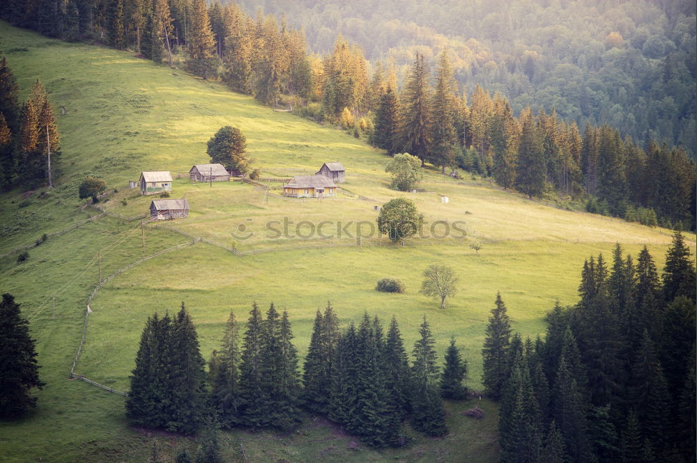 Similar – Image, Stock Photo Sunny October day in Malopolska mountain village