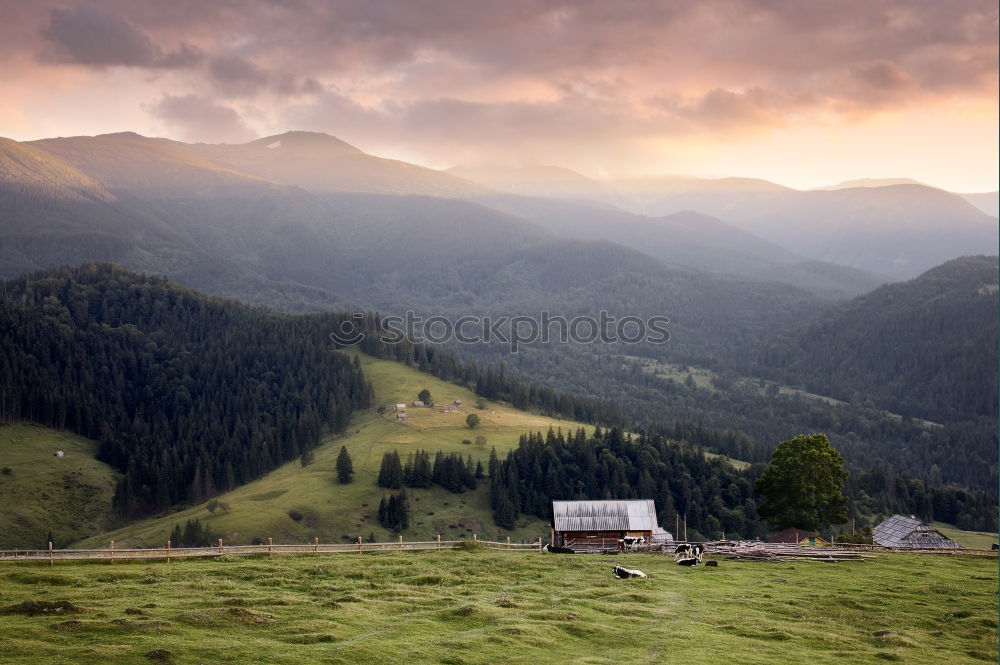 Similar – Image, Stock Photo Zwieselstein | E5