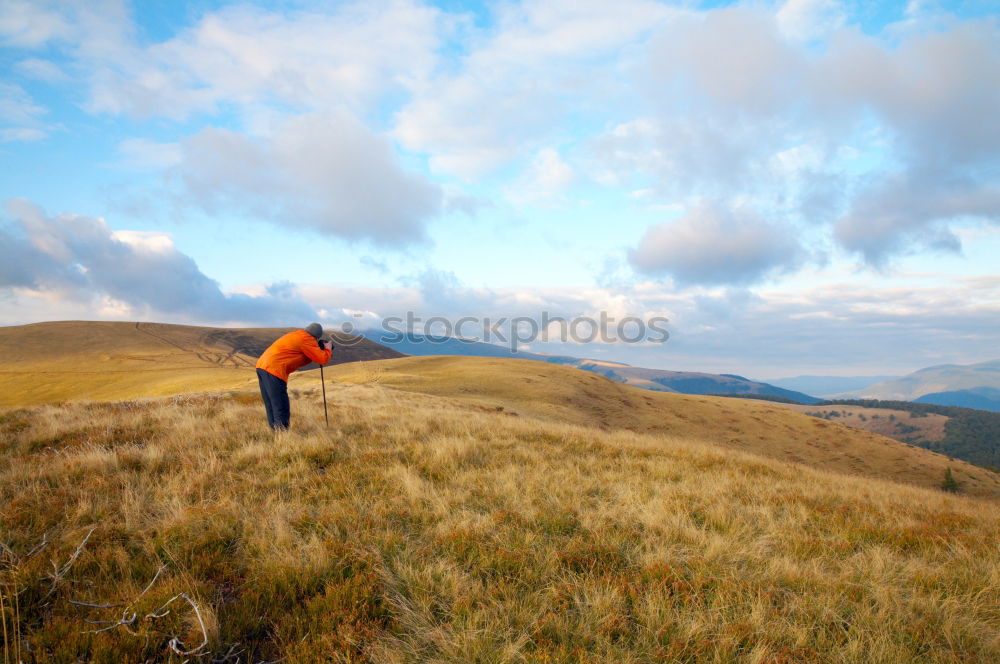 Similar – Image, Stock Photo I have a dream. Meadow