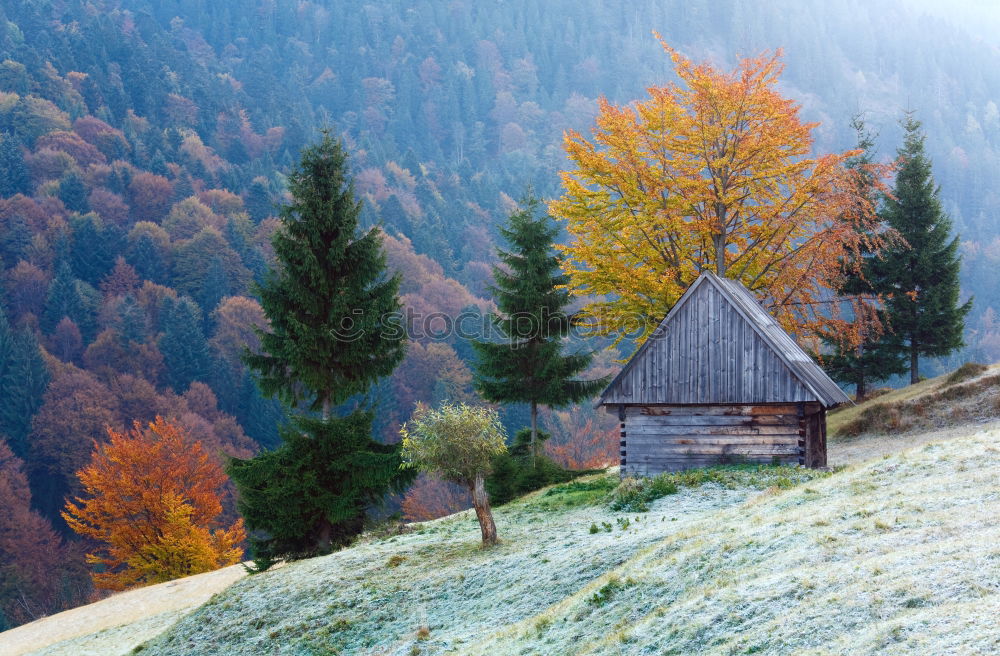 Similar – Image, Stock Photo First snow in autumn. Snowfall in mountains. Snow and fog