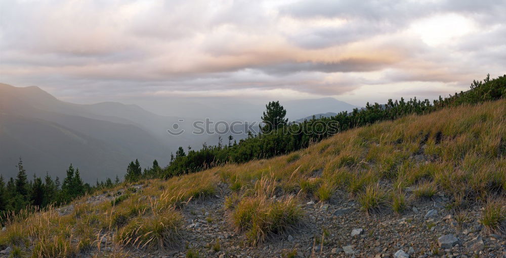 Similar – Foto Bild Creux Du Van Natur