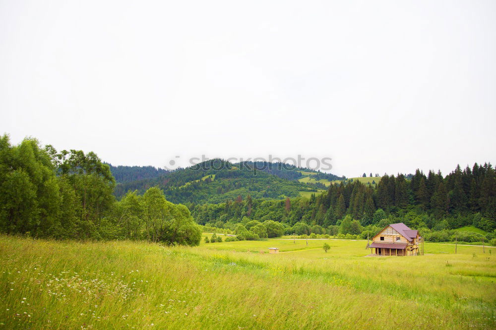 Similar – Mountain panorama with meadow and tree