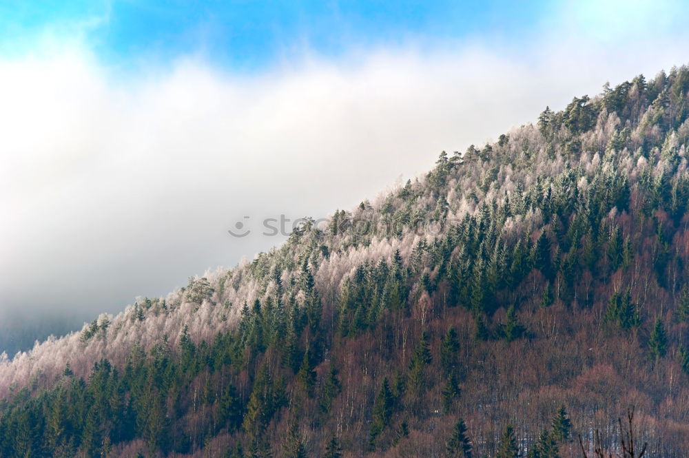 Similar – Image, Stock Photo Alta Pusteria South Tyrol