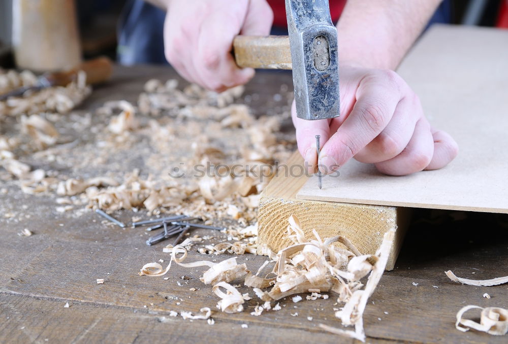 Similar – Image, Stock Photo Make Christmas decorations