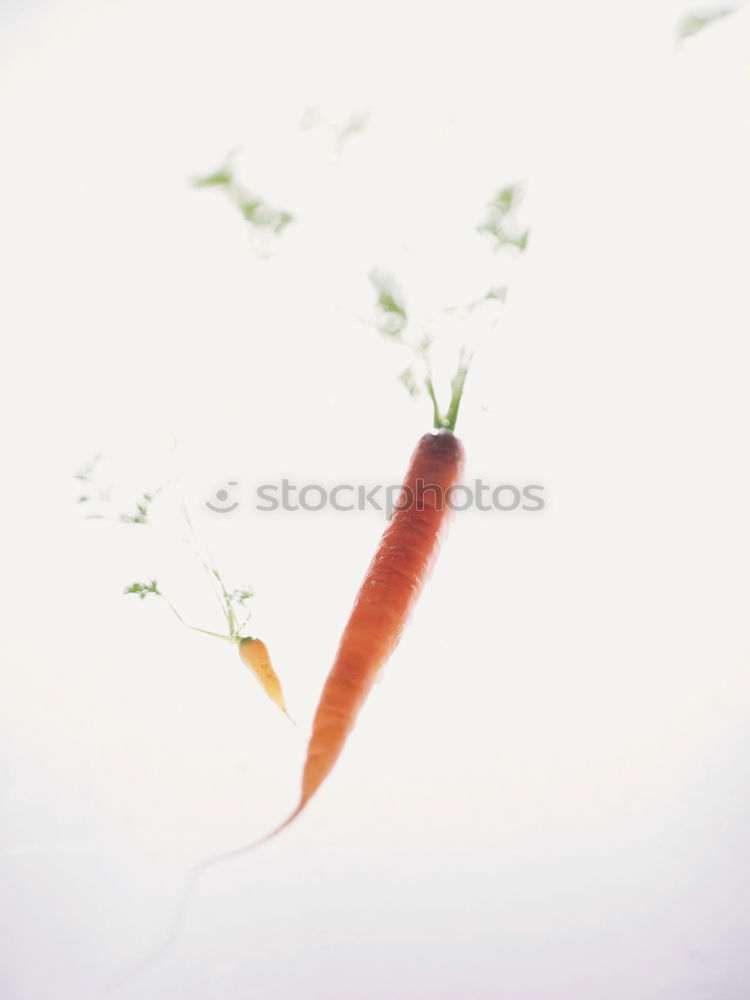 Similar – Image, Stock Photo splash Delicious Animal