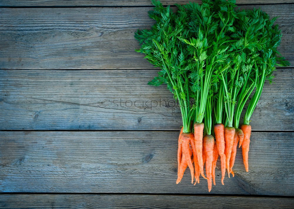 Similar – Three fresh carrots