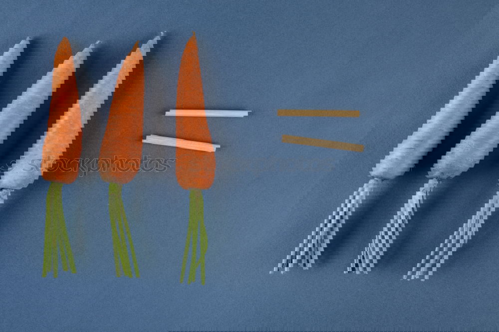 Similar – Image, Stock Photo Carrot cut into slices on blue background. Flat lay.