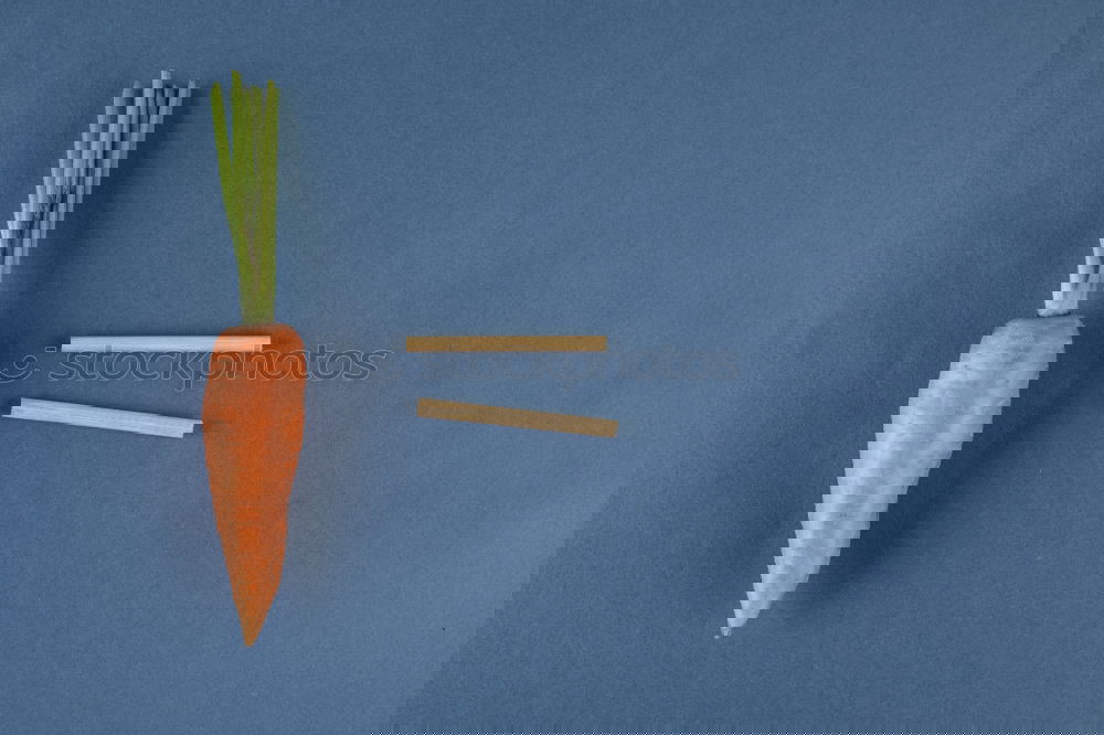 Similar – Image, Stock Photo Carrot cut into slices on blue background. Flat lay.